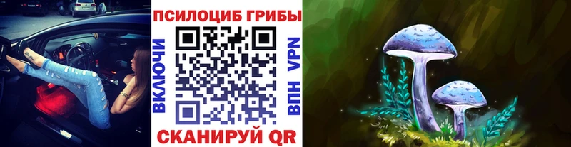 Галлюциногенные грибы ЛСД  где продают наркотики  Юрга 